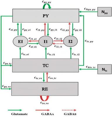 The Critical Modulatory Role of Spiny Stellate Cells in Seizure Onset Based on Dynamic Analysis of a Neural Mass Model